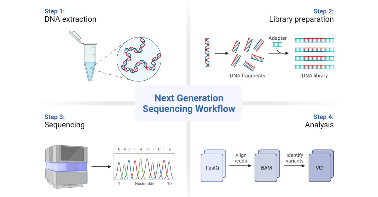 NGS 기본 흐름: sample prep → library prep → sequencing → analysis
