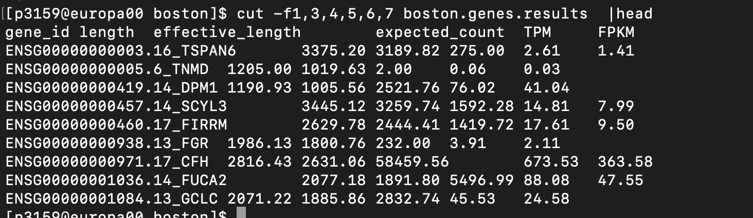 RSEM genes.results: gene_id, transcript_id(s), length, effective_length, expected_count, TPM, FPKM 컬럼