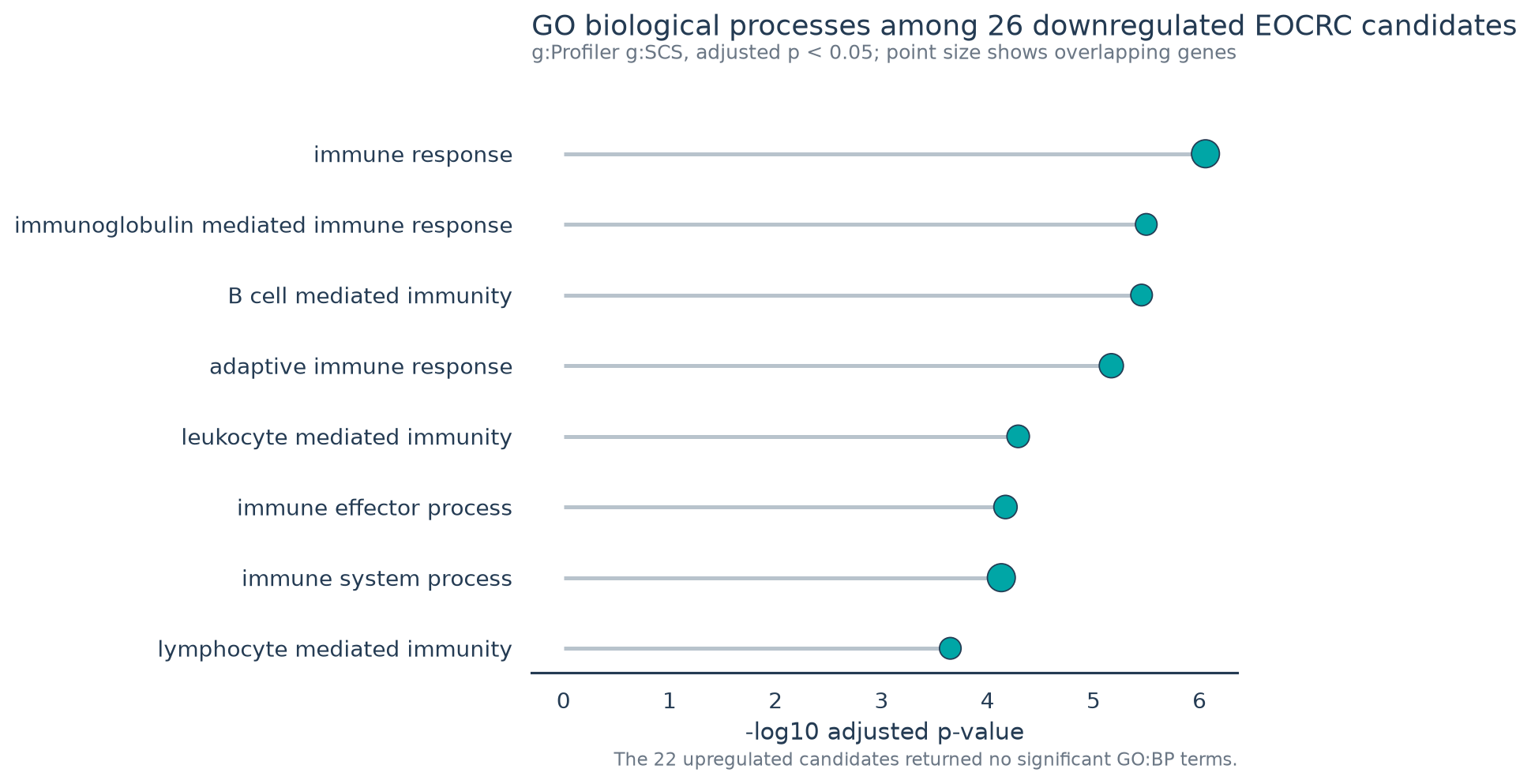 48개 EOCRC 후보의 GO Biological Process enrichment