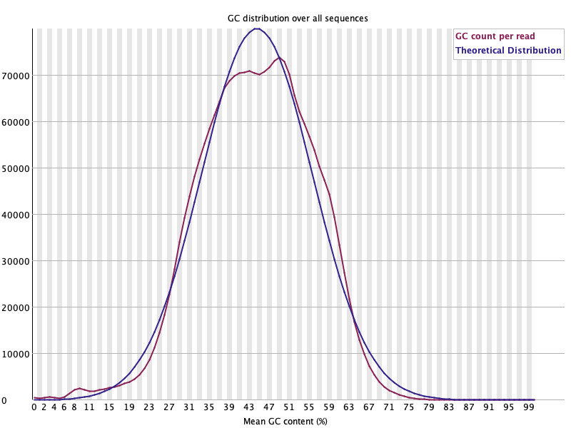 GC% 분포: 관측(빨강)이 이론 정규분포(파랑)를 따라감